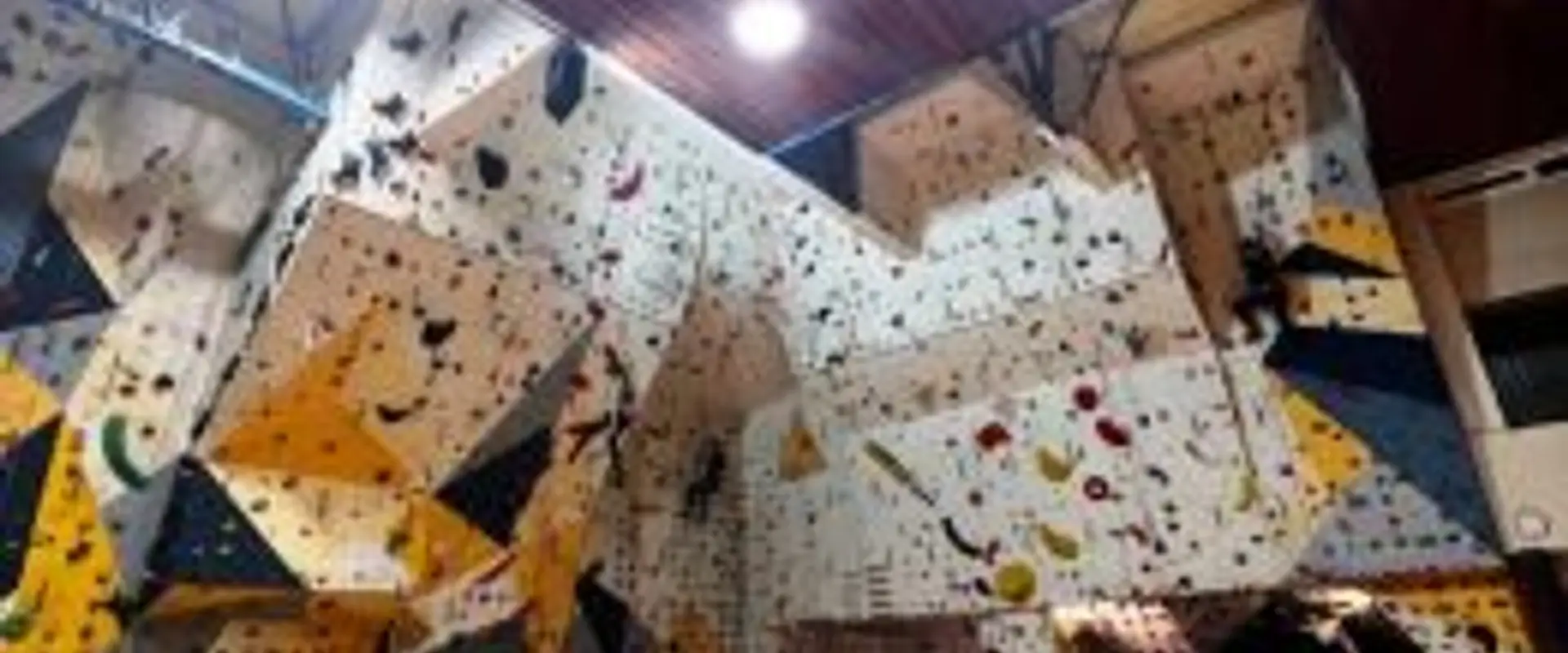 Climbing Wall Spider