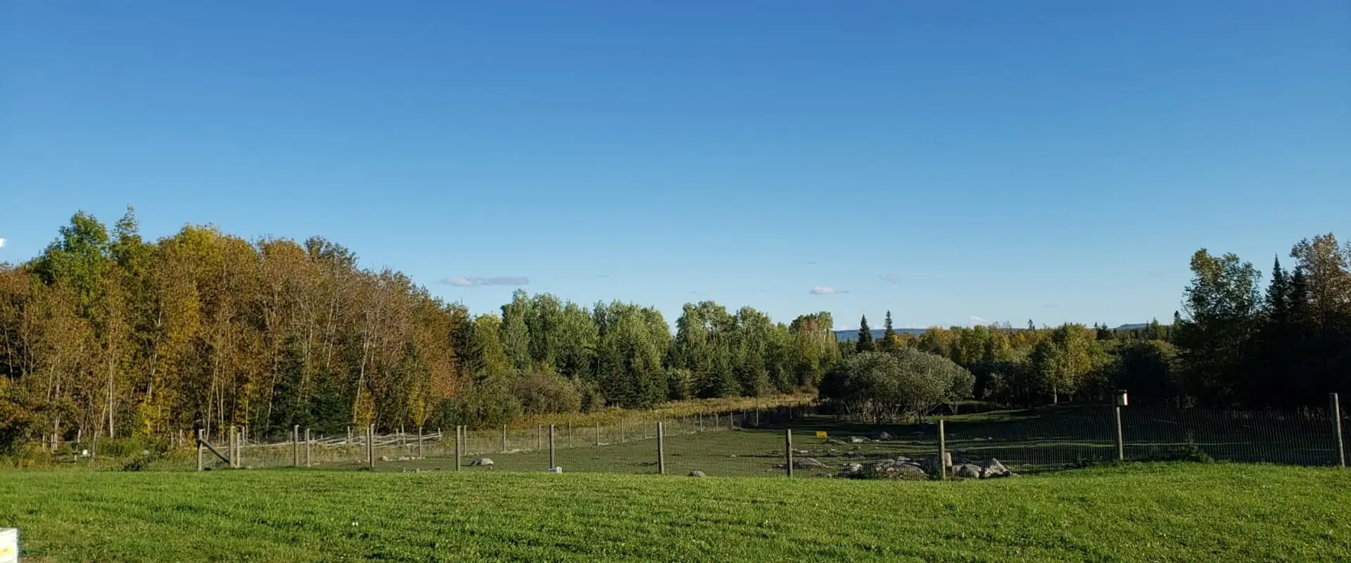 North Winds Farm