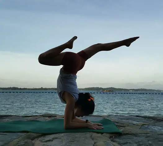Zoyoga