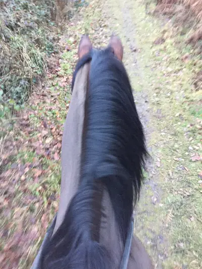 Pennypot Stables