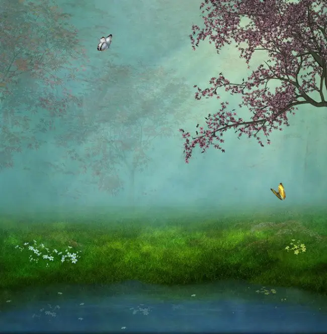 Apple Tree Yoga and Hypnobirthing