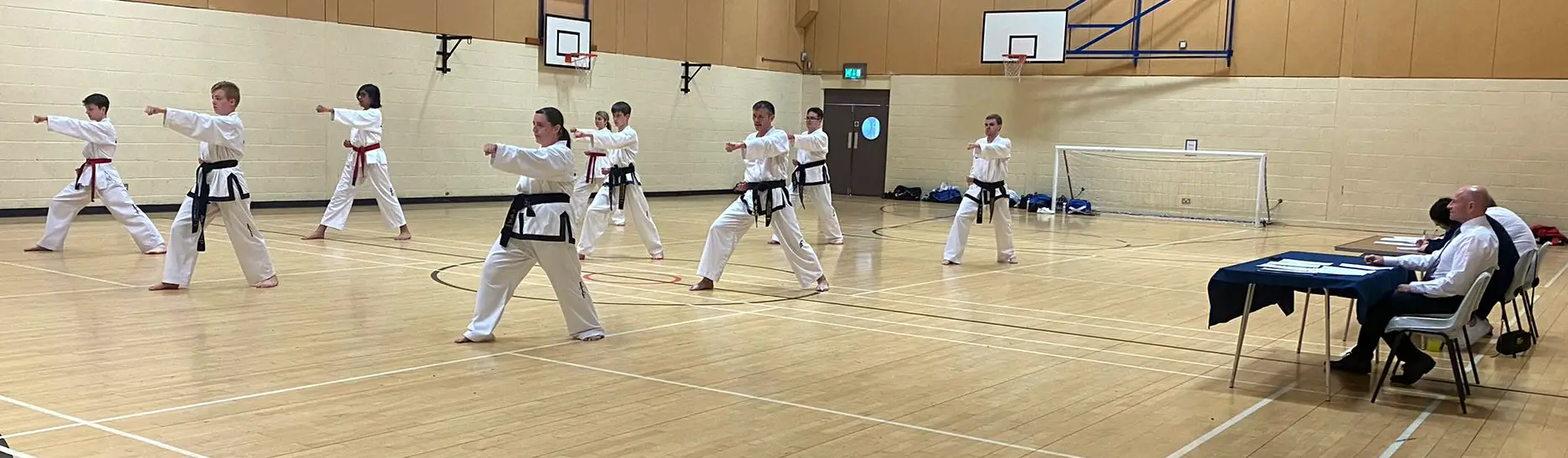 Intrepid Taekwondo (Fife) : Inverkeithing