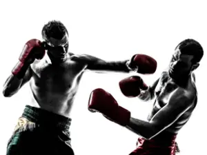 coachdeboxe.com