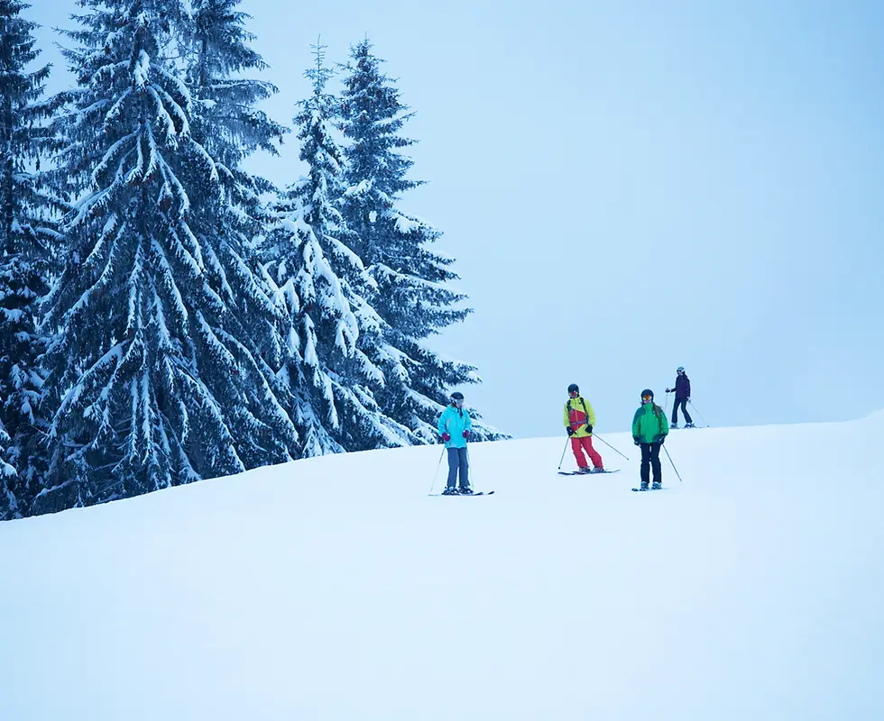 Misery Mountain Ski Area