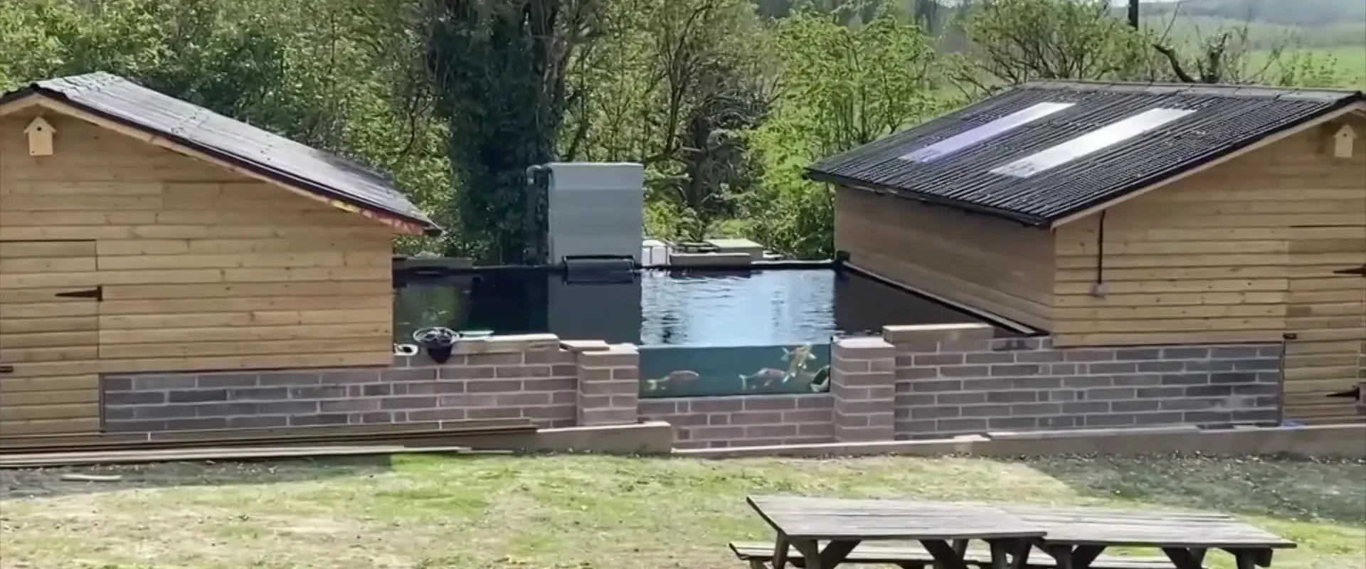 Howie Koi Dorset