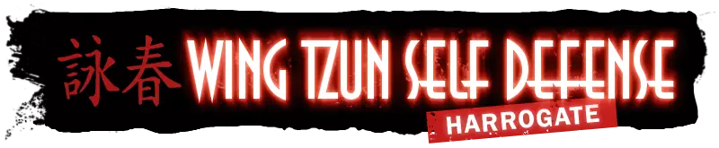 EBMAS Wing Tzun Self Defence System