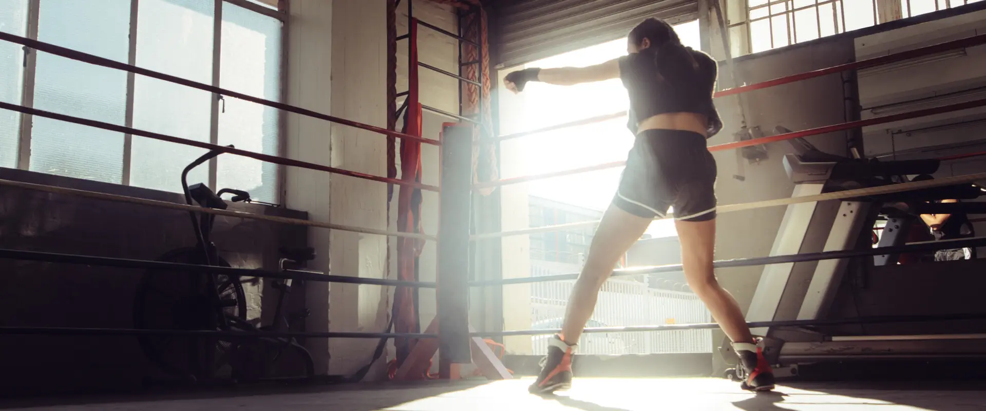 Boxing Tasmania