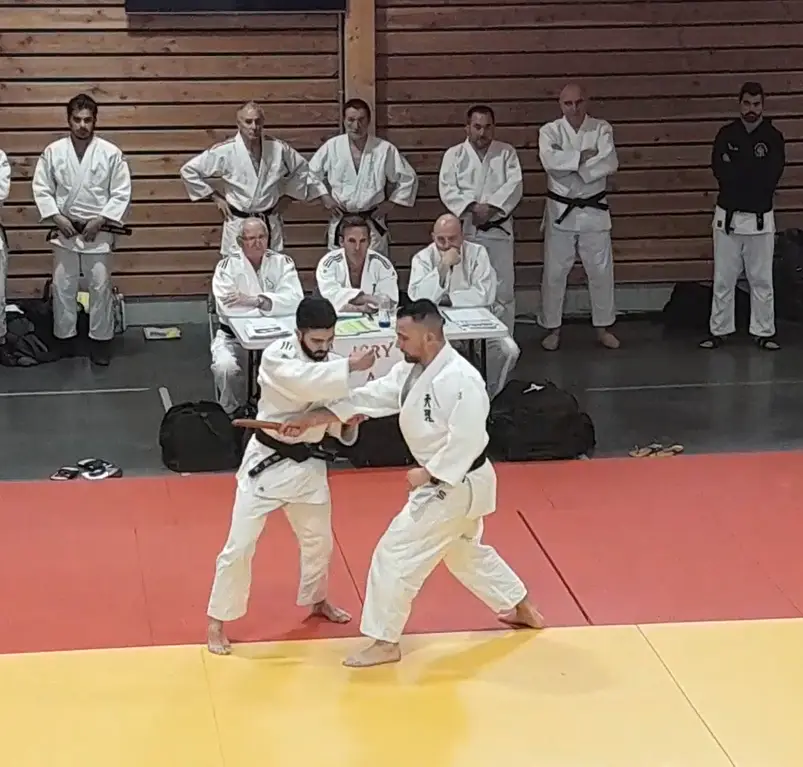 JUDOSQ St Quentin Fallavier