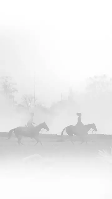 Vidourle à cheval