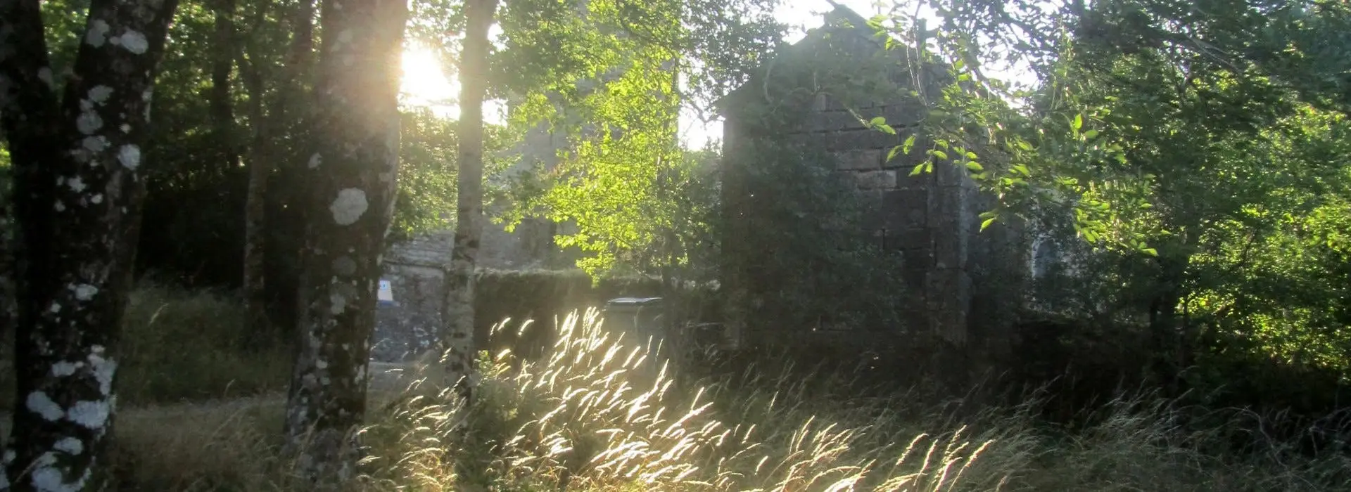 Temple Zen Du Caroux - Lignée Deshimaru