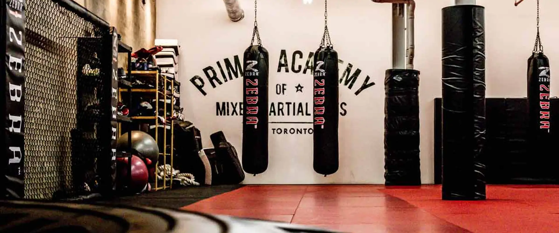 Primal MMA Academy