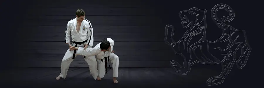 Bucklands Beach Toyakwai Karate Club