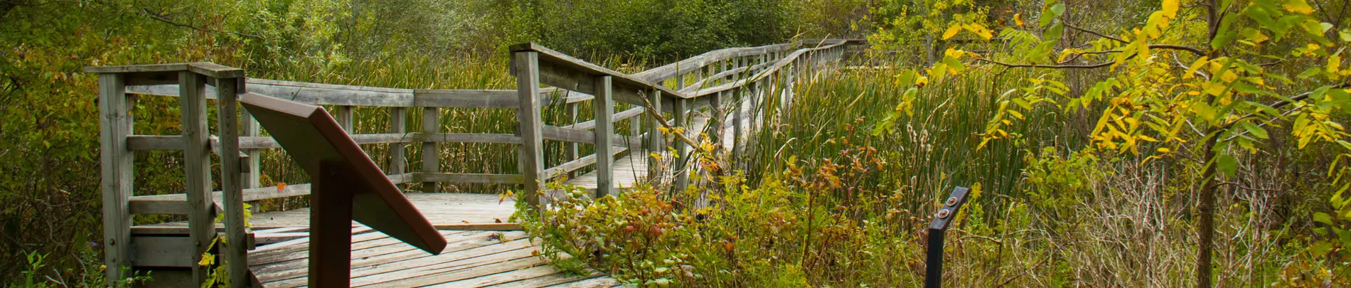 Caledon Centre for Recreation and Wellness