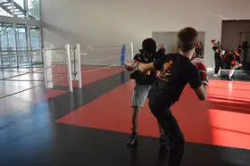 STCM Boxe Française