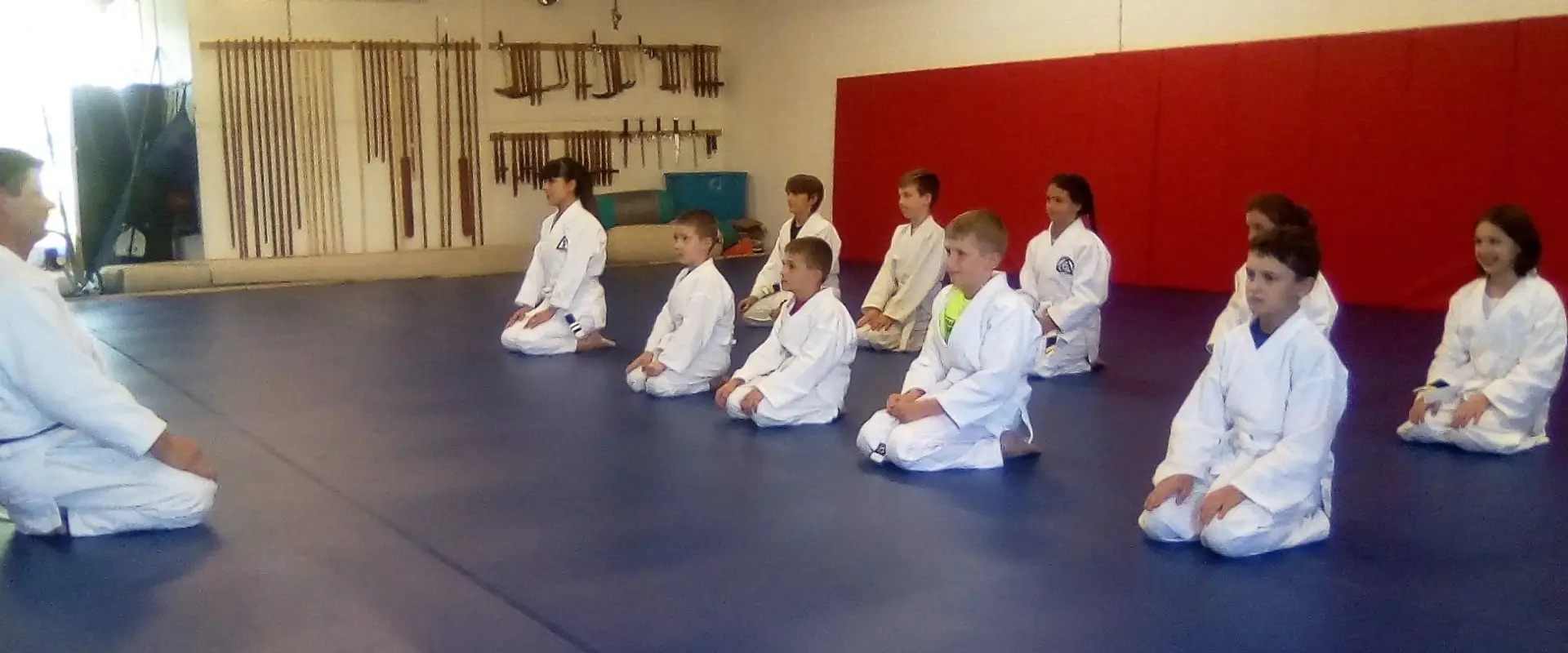 Sherbourne Martial Arts Academy: SMAA