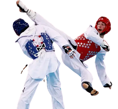 THE TIGER GYM & TAEKWONDO, KICKBOXING,WUSHU ACADEMY TONK