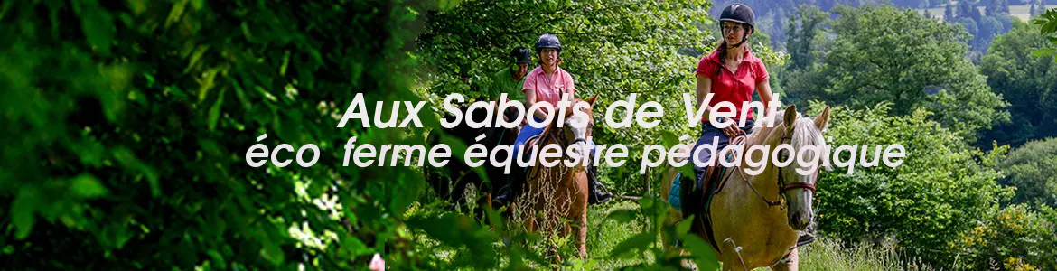 To Sabots De Vent Earl