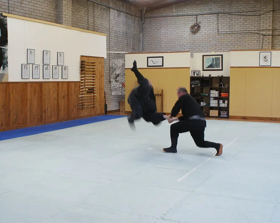Tendo Bushi Ninjutsu