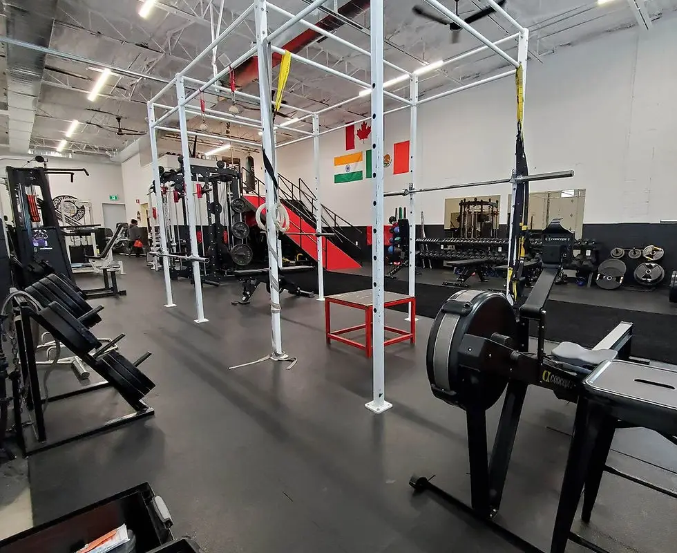 Dynafit University - Harriston