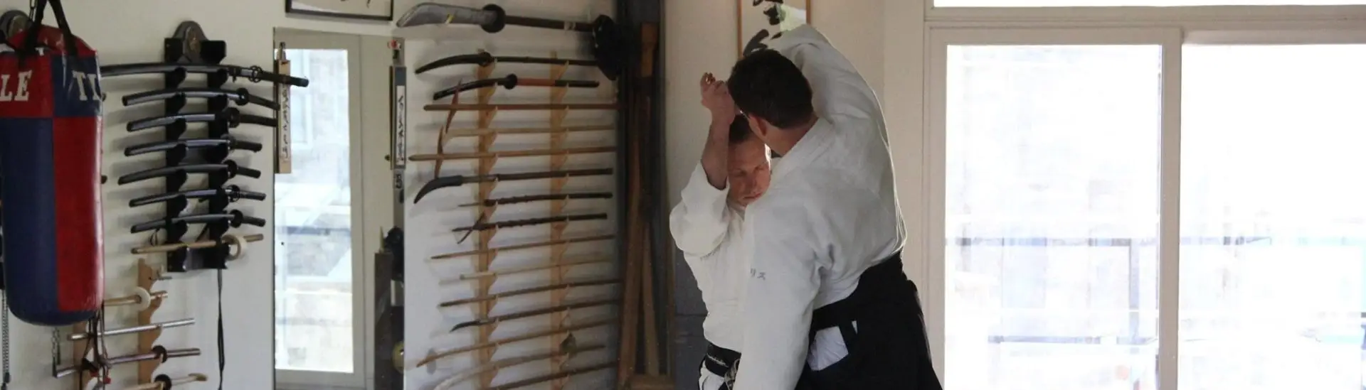 Vaillante Aikido