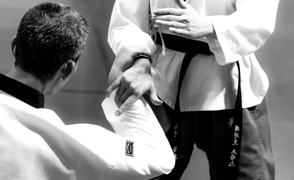 Ecole Thanh-Long De Sailly, Taekwondo Hapkido