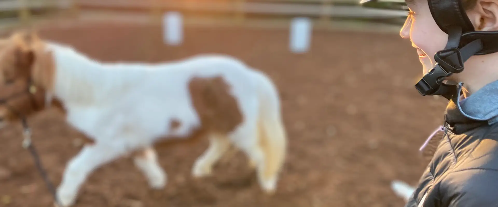 Heart Horse Academy