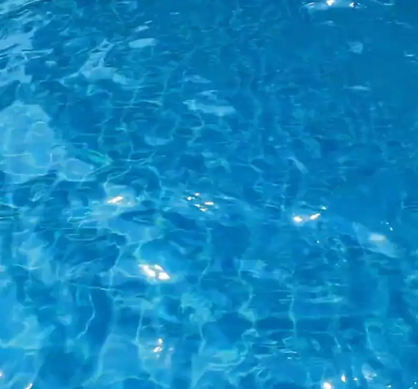 Swim with Style Franchise