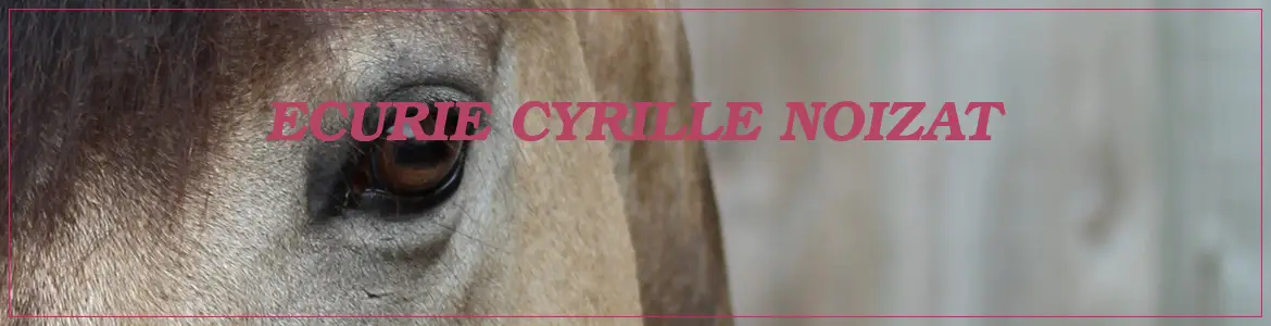 ECURIE CYRILLE NOIZAT