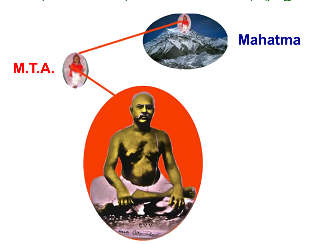 Master cvv yoga centre tirupati