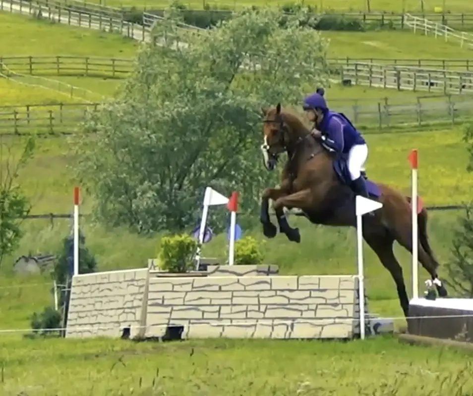 Oldmoor Farm Riding School