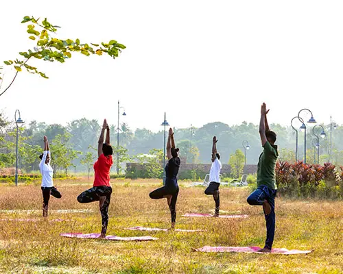 S.H.R.F Yogabana