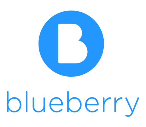 Blueberry Prenatal Yoga & Mums and Bubs Yoga