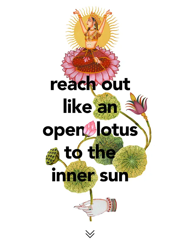 Lotus Yoga Centre