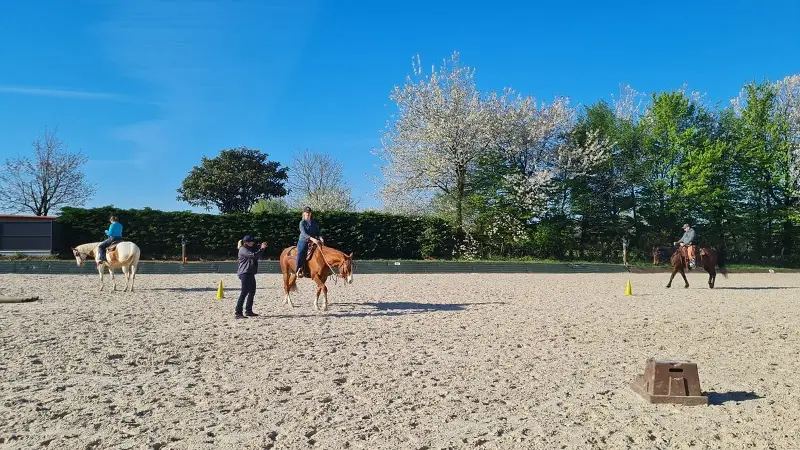 EASY HORSE