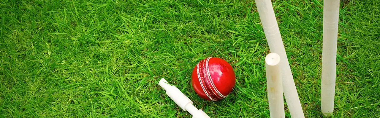 KT Cricket Academy