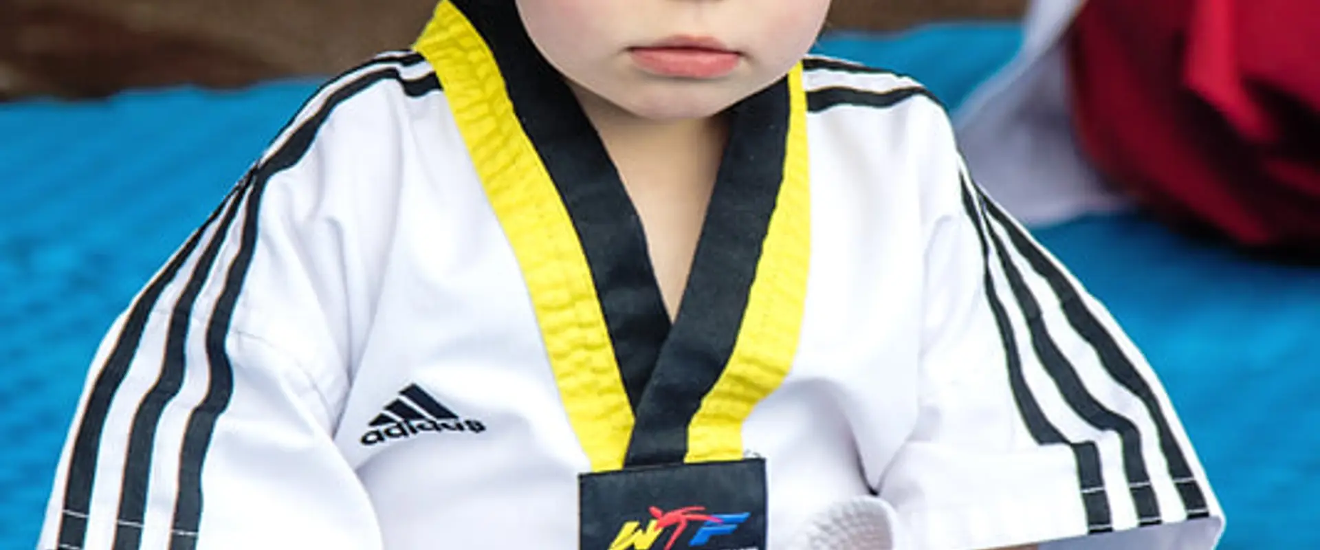 Capital Taekwondo Martial Arts & After School Program