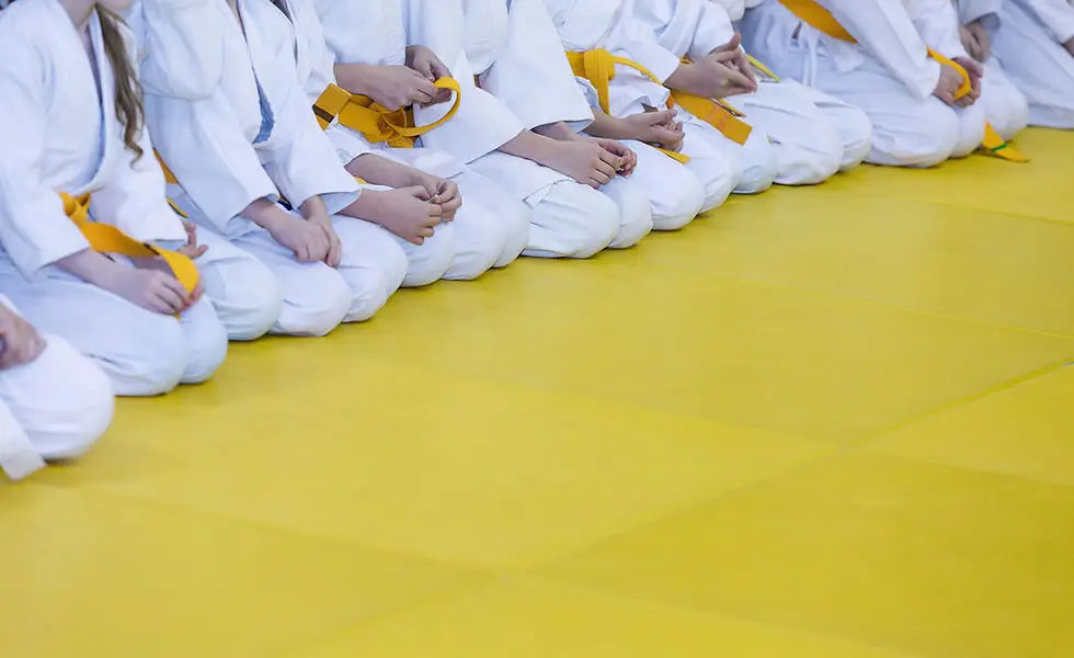 Tigers Shotokan Karate
