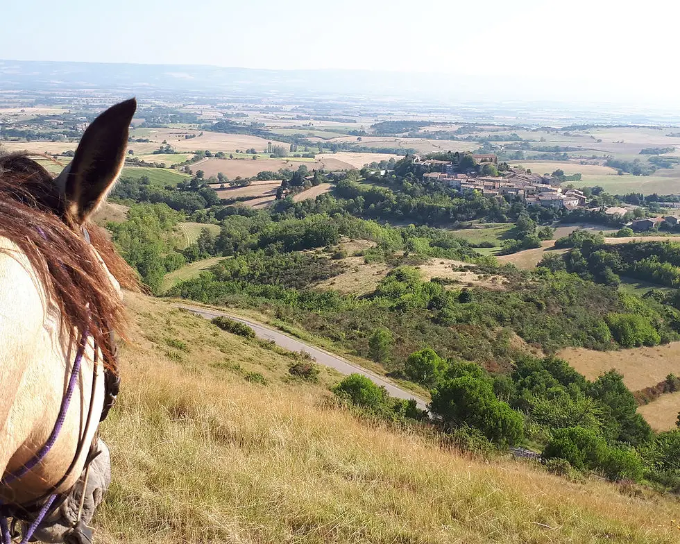 Chevaux au Vent