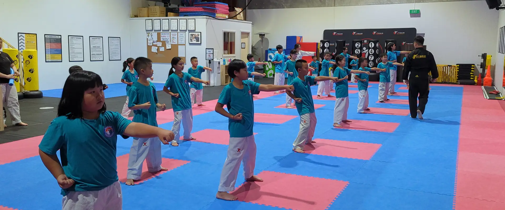 VTEAM Taekwondo Mulgrave
