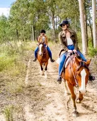 Hunter Valley Horses / @ the farm / HVH FARMS