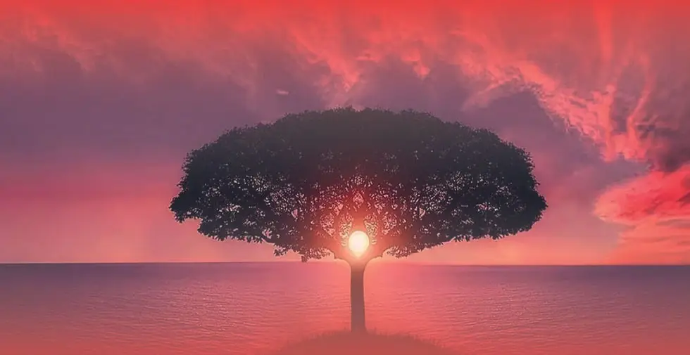 Human Be-in Naturopathie & Life Coaching
