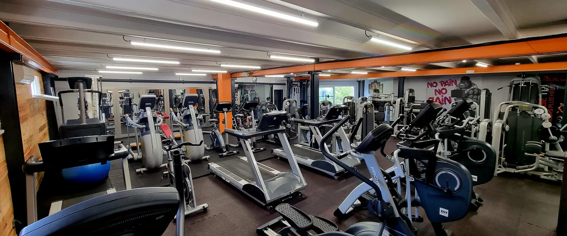 Tonic fitness area