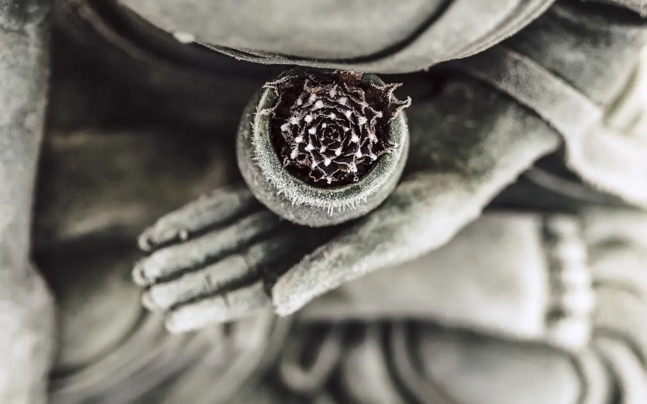 Sukoon Holistic Massage and Wellbeing Therapies