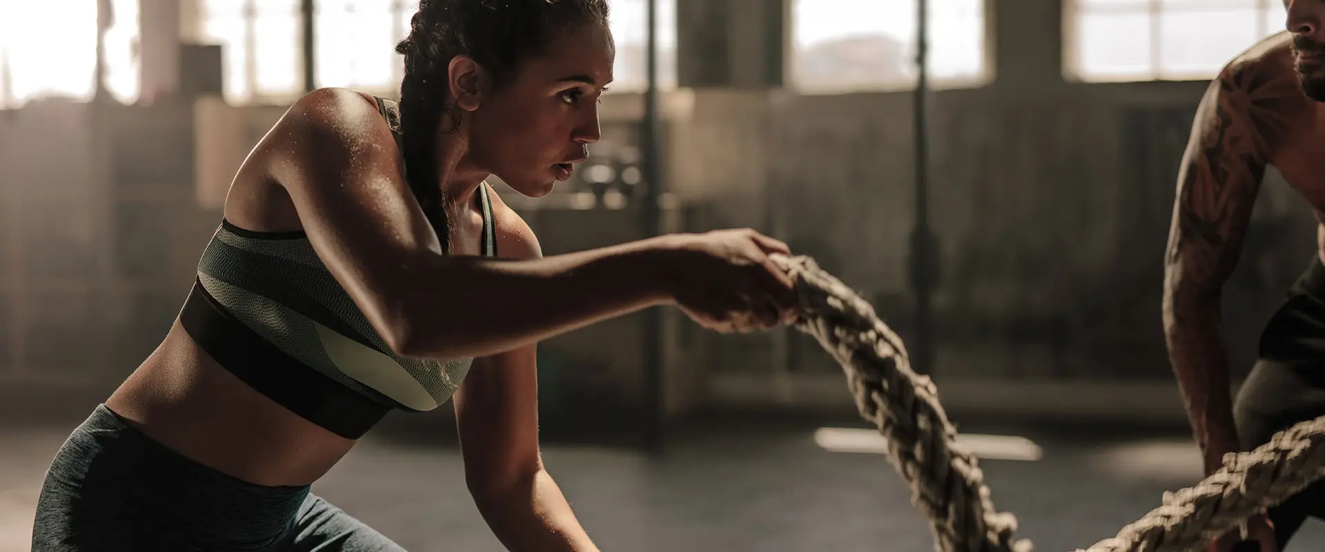 Diverse Fitness Gym - Hook