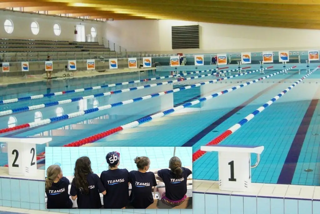 Club de natation à Grand champ - Vannes Agglo Natation