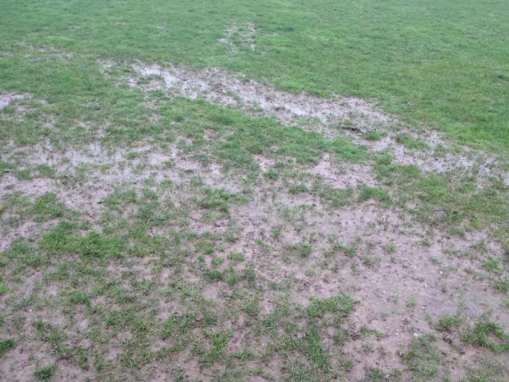 Skehanagh Park