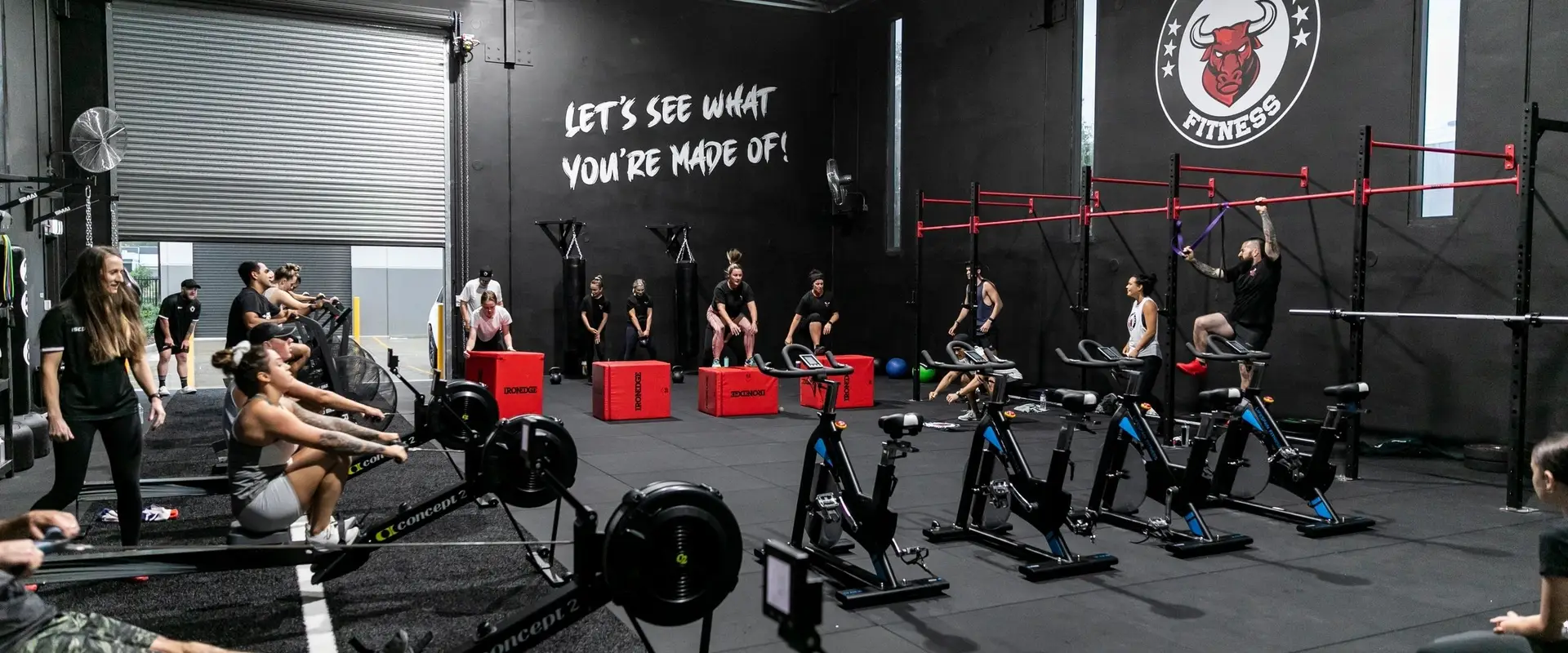 DNA Fitness