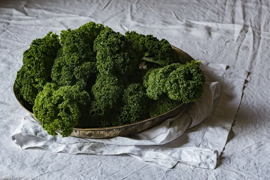 Naturopathe-Pyrenees - Christine Buisan - "Ma Clinique Naturelle"
