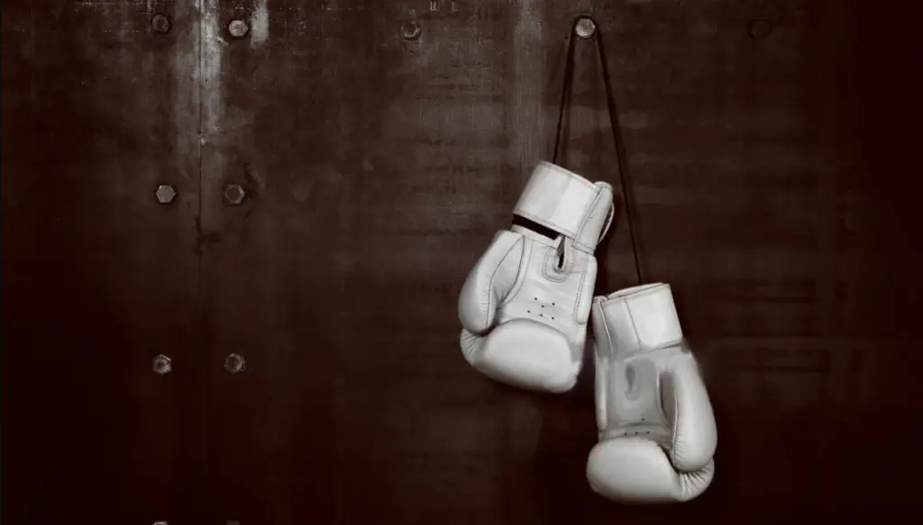 TRIBU PALESTRA METZ - Muay thaï/Boxe thaïllandaise/Kick boxing