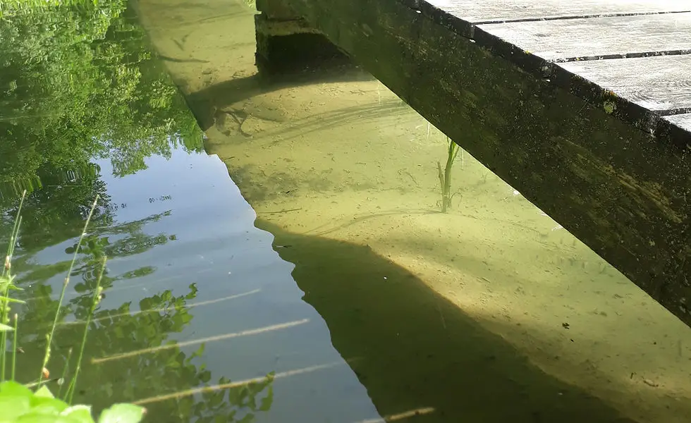 La guinguette du Pêcheur
